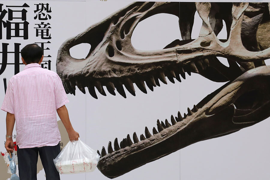 Dinosaur fossil exhibited in Japan