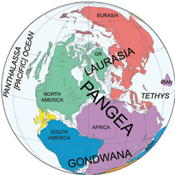 PLATES globe showing Pangea arrangement of continents