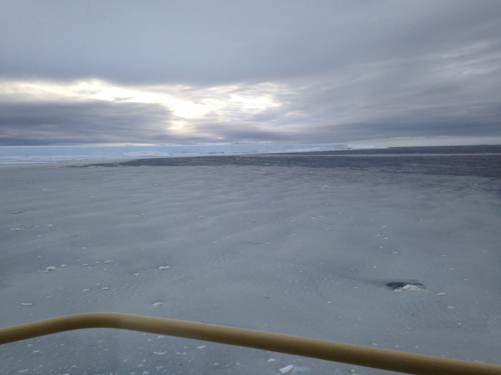 View of ice fields from the bow of ship