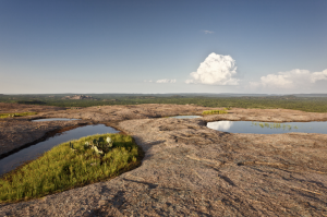 Several examples of solution pans photographed at Pedernales Falls State Park in Central Texas. (Photo courtesy John Goff)