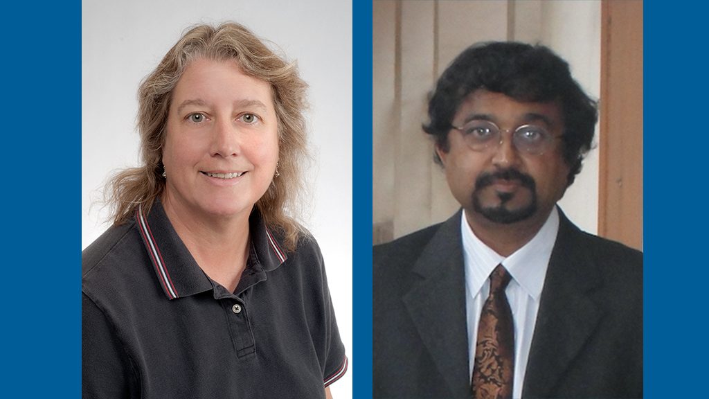 UTIG Associate Directors, Gail Christeson, Mrinal Sen