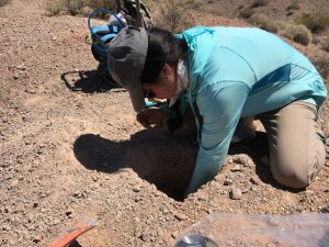 A person digging a hole in the desert