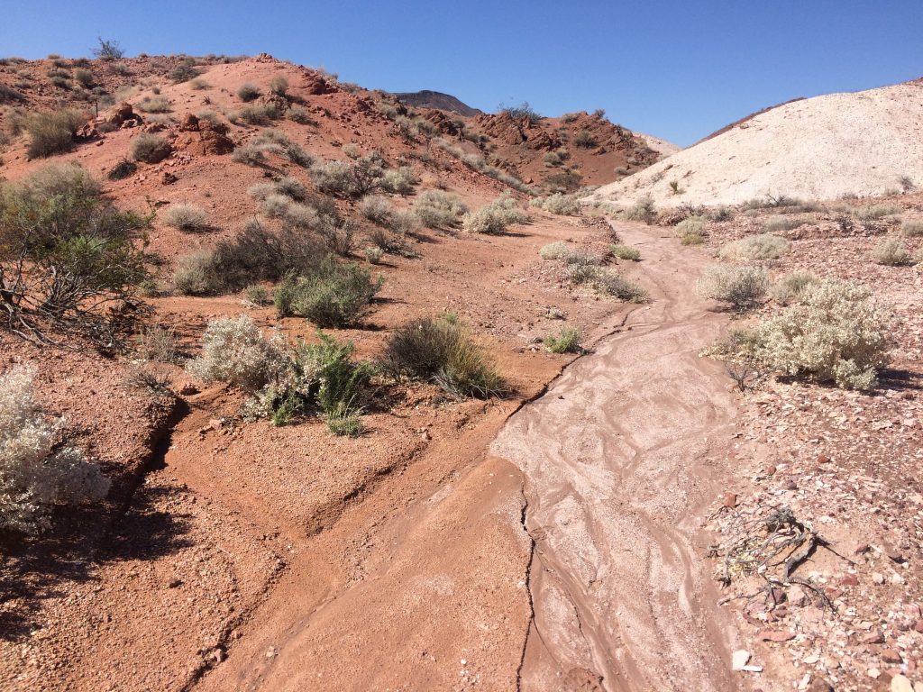 Photo of desert landscape showing lighter colored rocks on the right with darker redder rocks (and more vegetation) on the left.