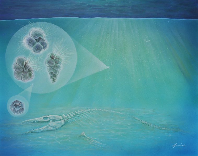 painting of the seafloor showing a fossil and inset with microorganisms.