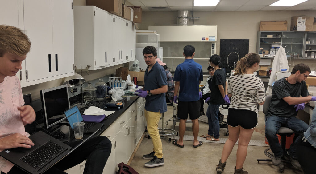 Students at work in the sed lab
