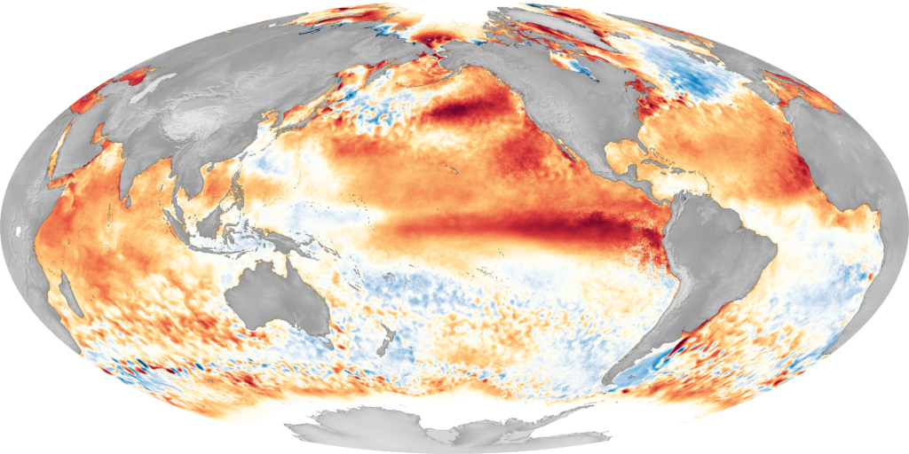 Map of the world with the oceans colored to show hotter and colder than normal temperatures. The Pacific ocean is mostly a deep red