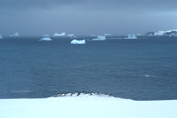 Picture of small ice bergs