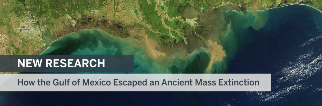 NEW RESEARCH: How the Gulf of Mexico Survived an Ancient Mass Extinction