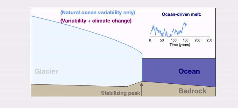 Animation of a 2D glacier showing two versions overlain. As time goes on the climate warming glacier retreats much quicker and further than the one with only ocean variability.