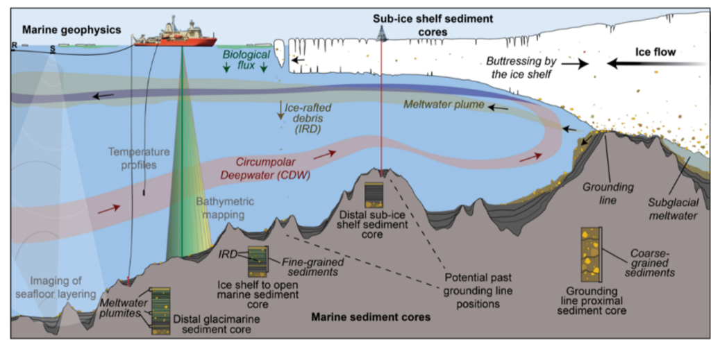 cut away graphic of an ice shelf and nearby topography. The ocean current enters along the seafloor then carries meltwater out to the surface.
