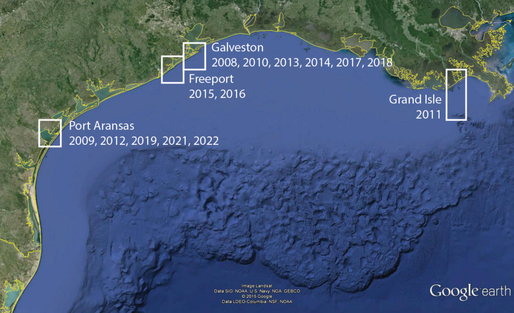 A map of the northern Gulf of Mexico. Marked sites include: Port Aransas: 2009, 2012, 2019, 2021, 2022 Freeport: 2015, 2016 Galveston: 2008, 2010, 2013, 2014, 2017, 2018 Grand Isle: 2011