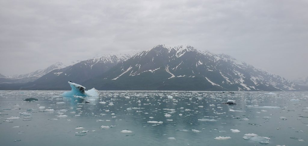 Photo of ice floes in front of a mountain. An iceberg is to the left of center near the fore.