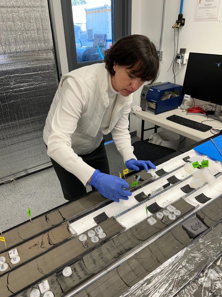 Photo of Carla working on several split cores laid out on a table. The cores are grey brownish. She is marking points of interest with colored flags.