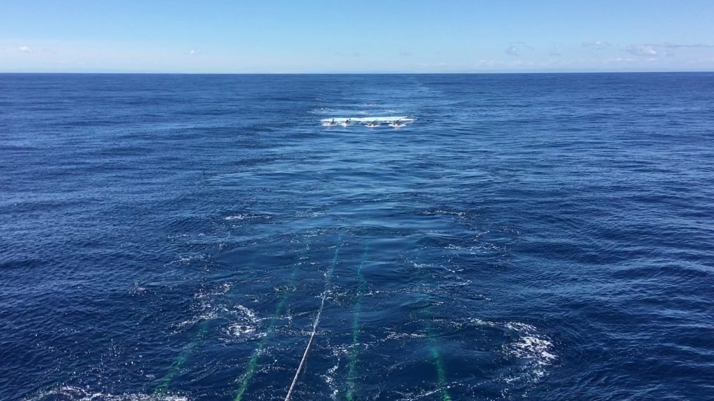 A photo of the ocean showing several underwater cables just under the surface, leading to the airgun towed some distance away.