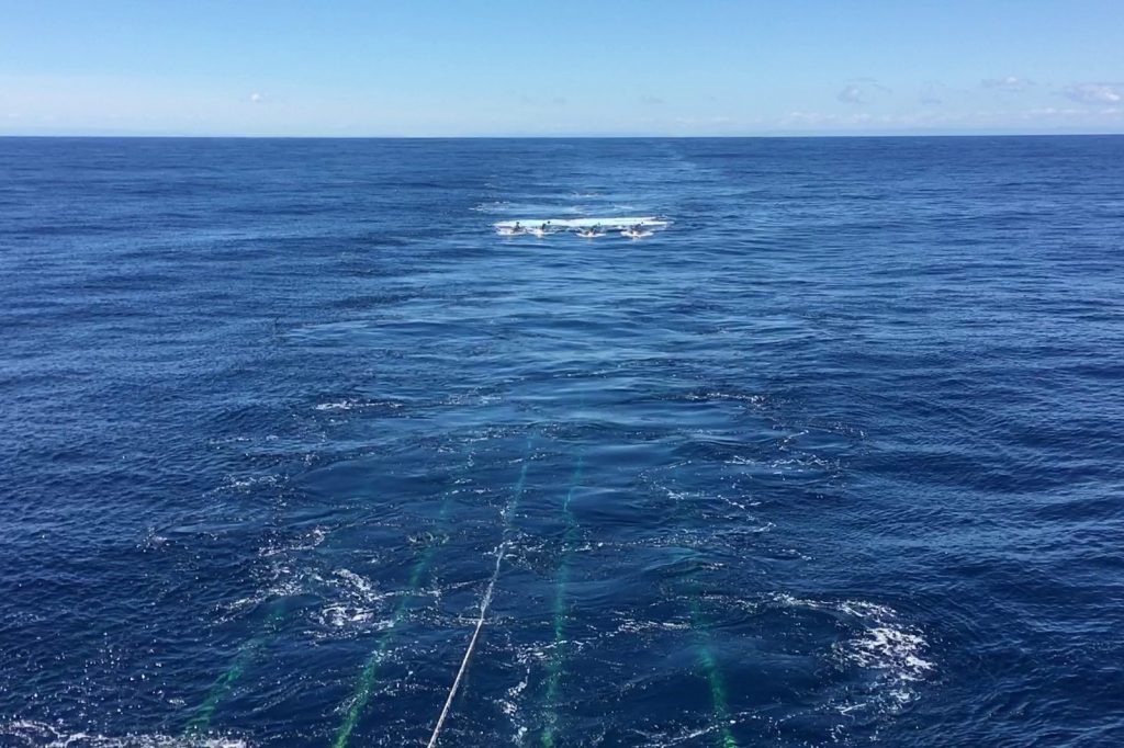 A photo of the ocean showing several underwater cables just under the surface, leading to the airgun towed some distance away.