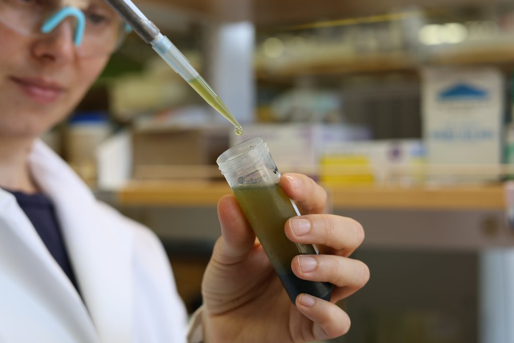 Close up of a scientist with a lab coat using a pipette to draw a sample of algae-green river water.