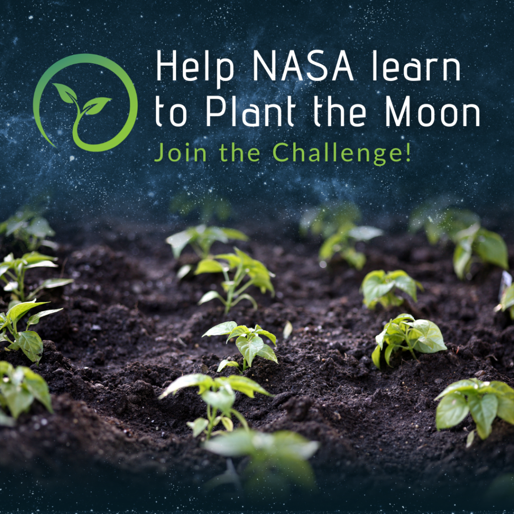 Plant the Moon logo
