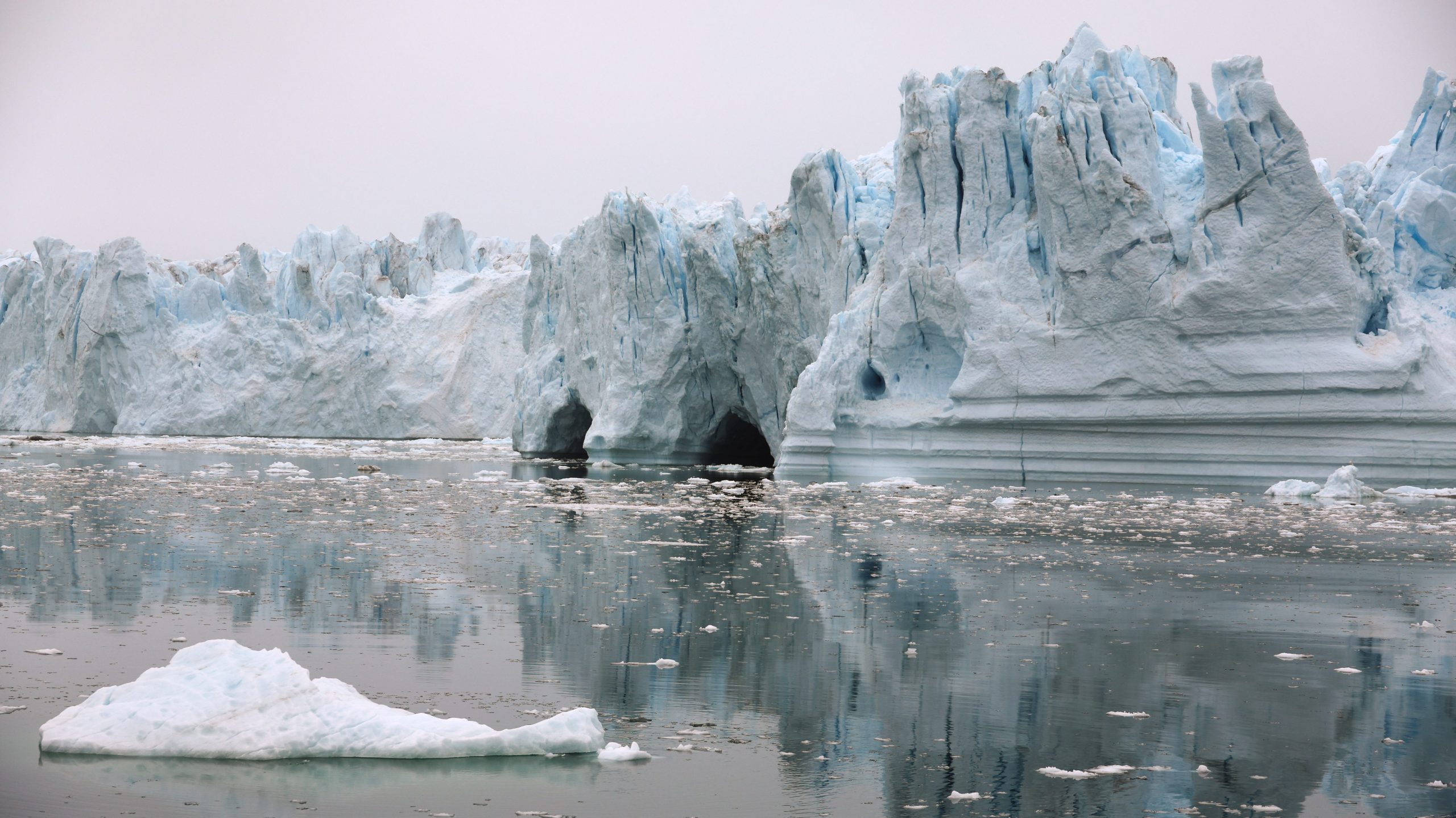 A glacial wall reflects in the glass-like sea water. Dark ice caves emerge from the water line in the center of the image. The sky and water are grey although the ice is tinged with blue.