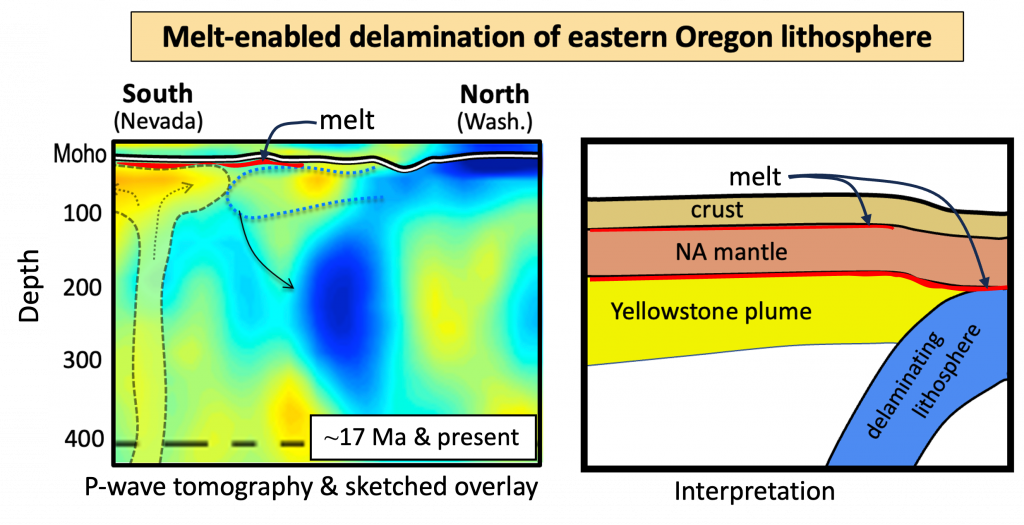 A graphic showing melt-enabled delamination of the Eastern Oregon lithosphere.  