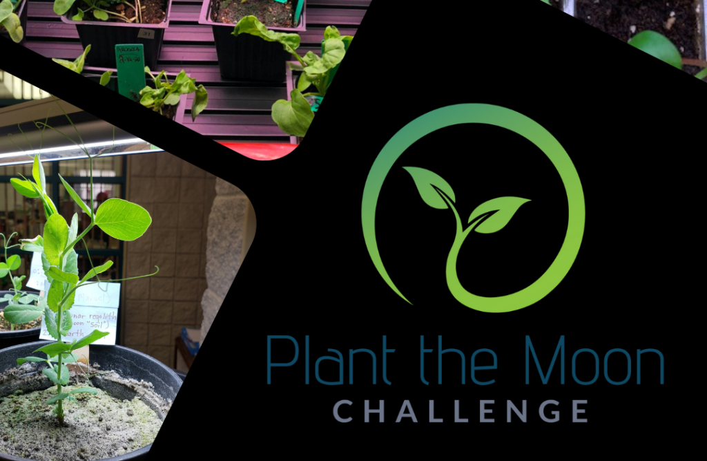 plant the moon banner