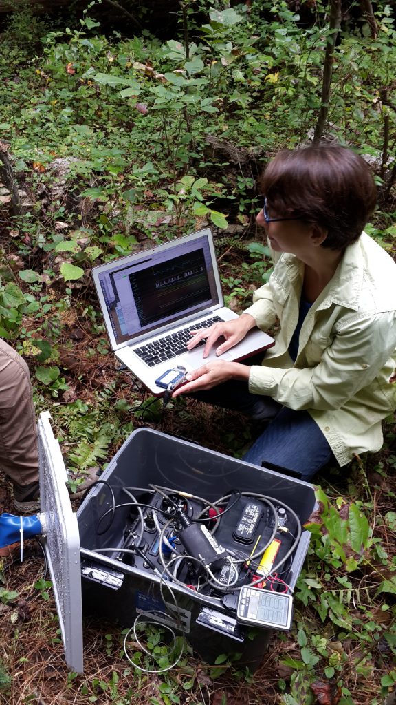 Pnina Miller, member of the land data acquisition team, takes seismic readings beneath the foothills of the Appalachian Mountains.